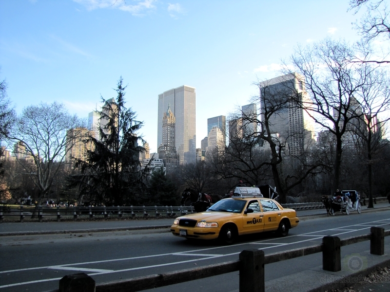 NYC Fin