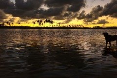 20250224_180155-1
