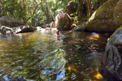 IMG-20250518-WA0038-1