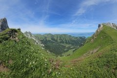 20240714_125741-Copier