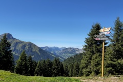 20250831_130330_resized