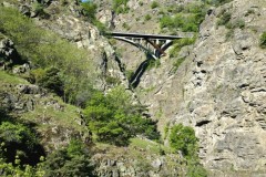 trient_1