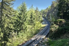 trient_8