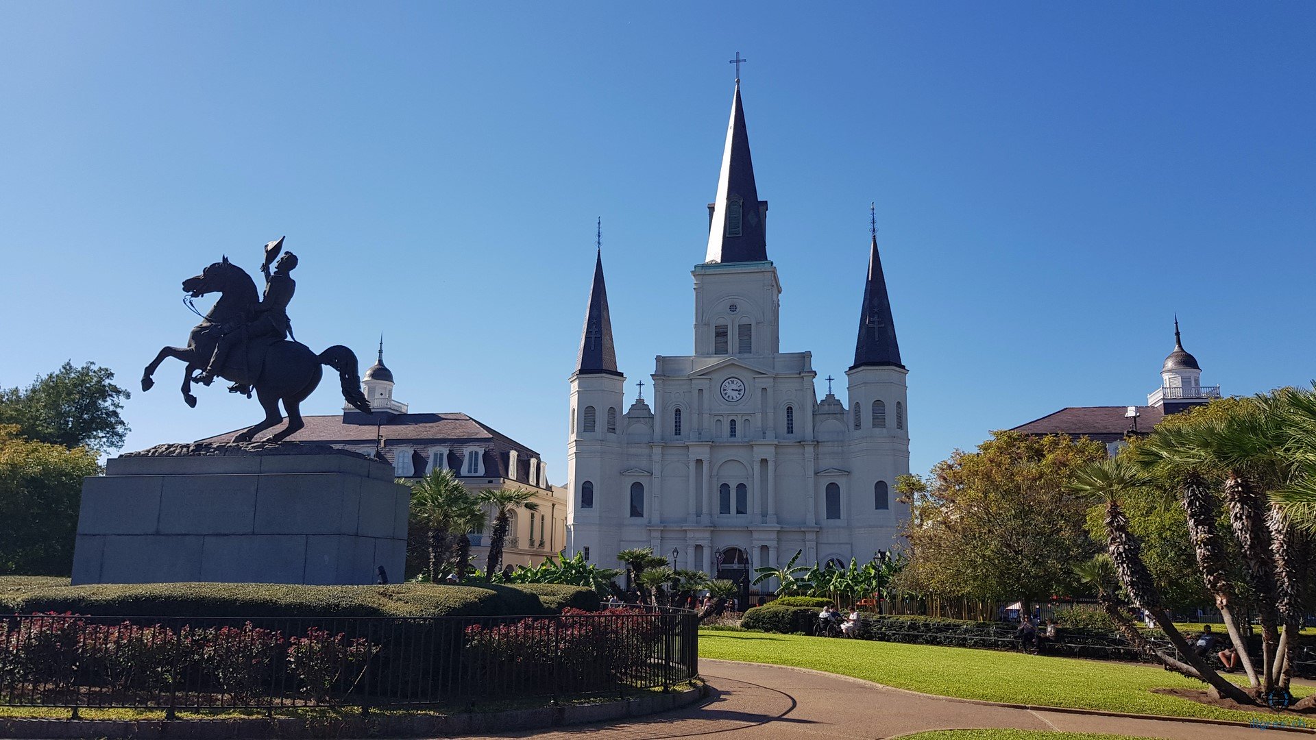 NOLA 6