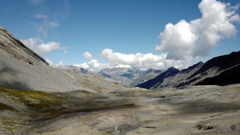 Drone Suisse