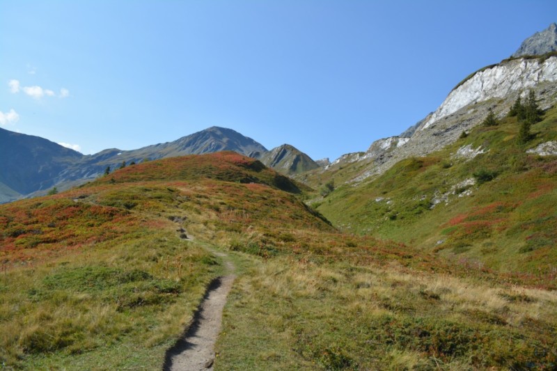 DSC 0356