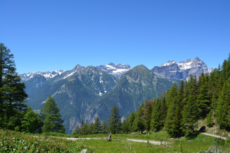 En dessous de l'alpage de l'Au d'Alesse