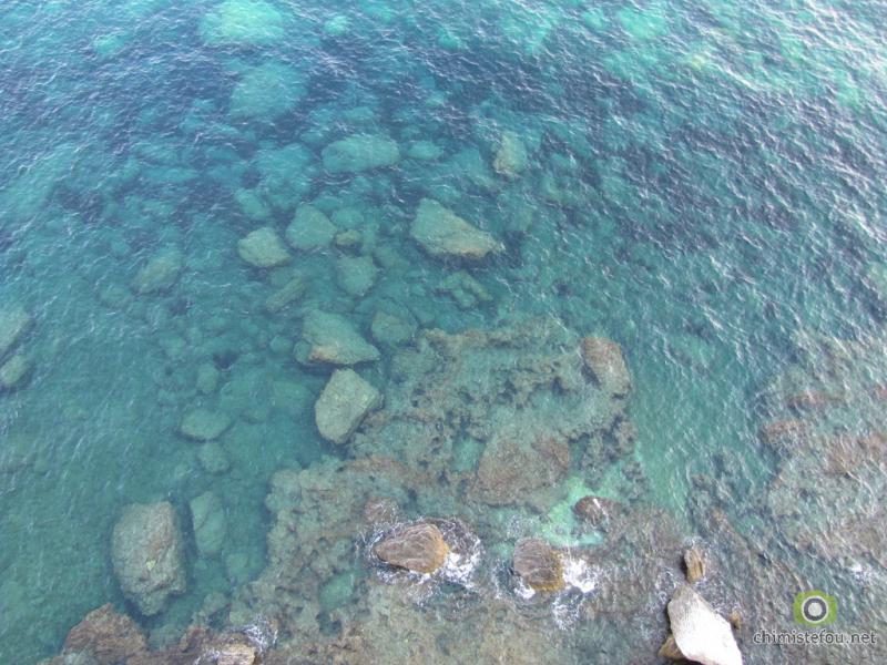 IMG 0955