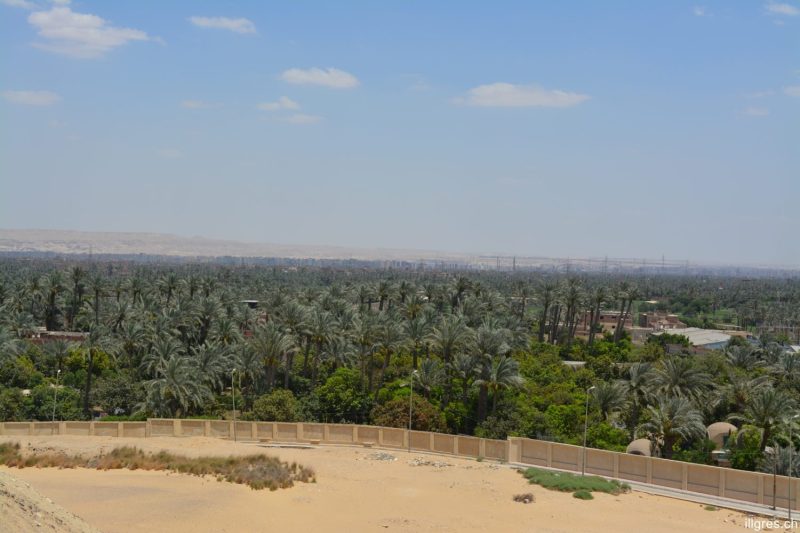 DSC 0206