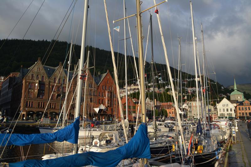 DSC 4138