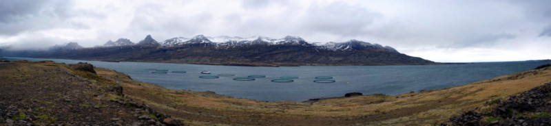 Route 1 vers Fáskrúðsfjörður