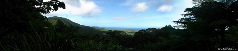 Tropical Rainforest - Cap Tribulation - Queensland