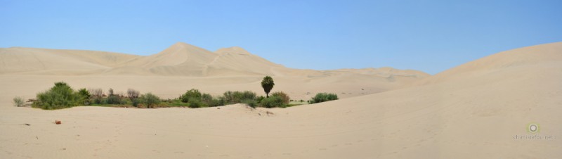 Oasis de Huacachina (Ica)